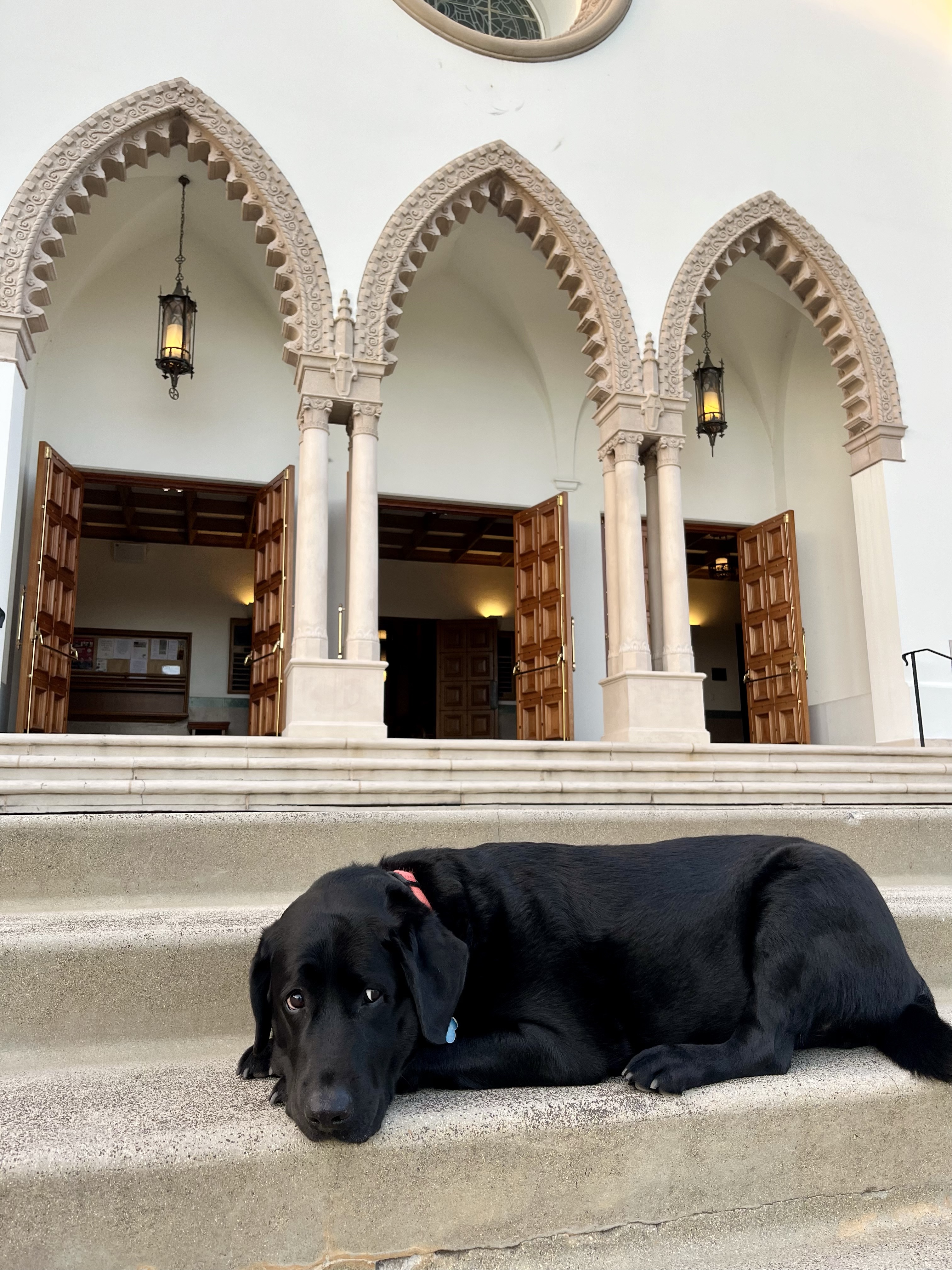 Description of Photo 1